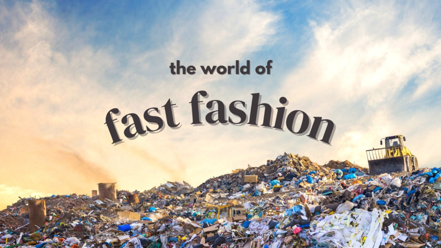 fast fashion