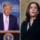 Donald Trump's attacks on Kamala Harris