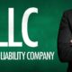 limited liability company