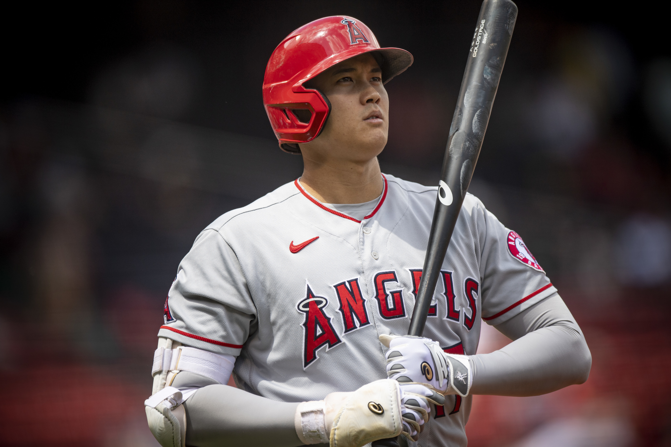 shohei ohtani