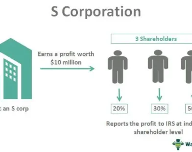 s corporation