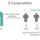 s corporation