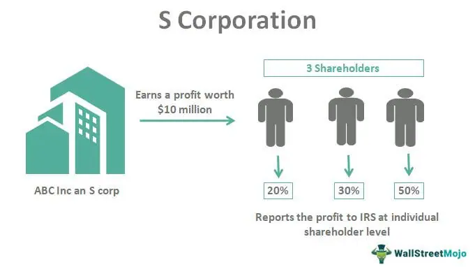 s corporation